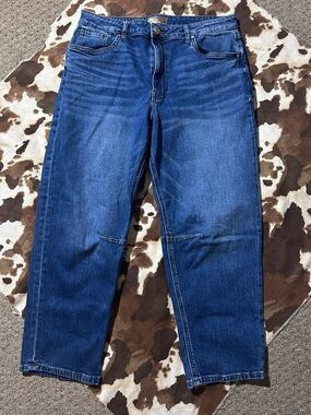 Kut from the Kloth Ashley Slouchy Barrel Jeans 32/27